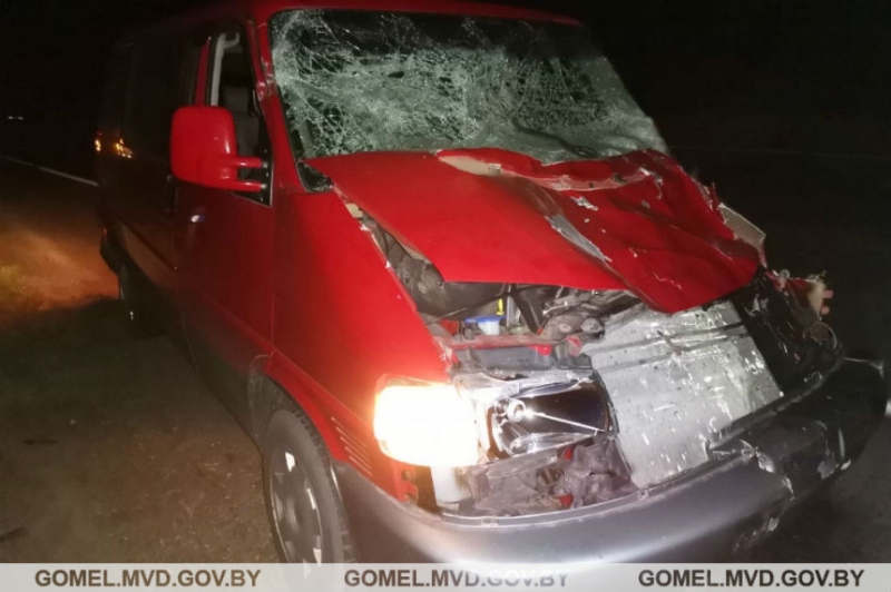 Пьяный бесправник на "Жигулях" врезался в Volkswagen Multivan, который сбил лося