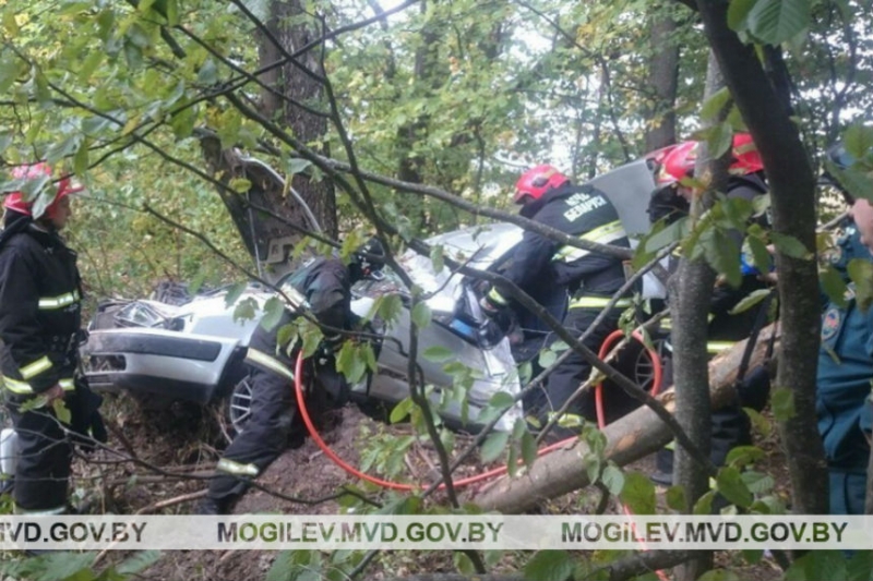 Водитель и пассажирка погибли в ДТП под Бобруйском