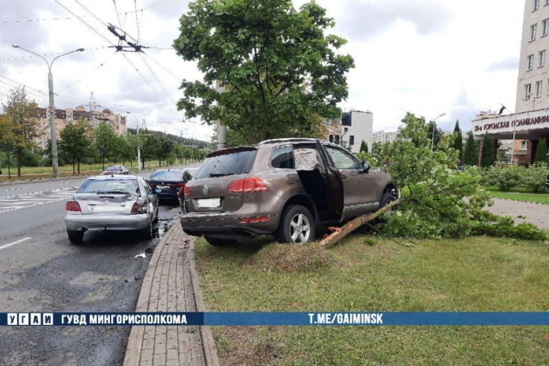 Видео: в Минске Volkswagen "снес" дерево и ударил стоявший Citroen