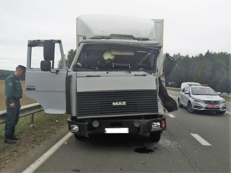 На трассе под Логойском столкнулись МАЗ и MAN