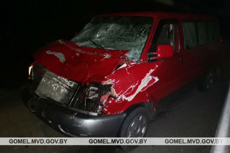 Пьяный бесправник на "Жигулях" врезался в Volkswagen Multivan, который сбил лося