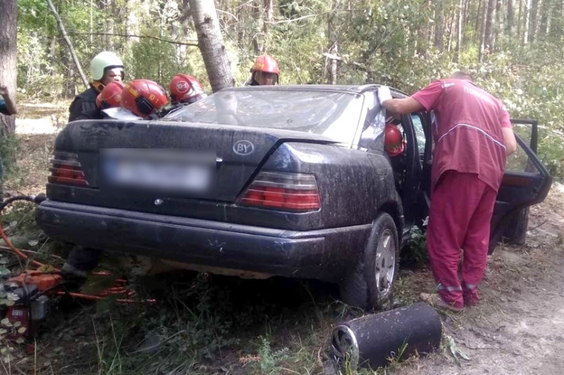 Mercedes съехал в кювет и столкнулся с деревом в Каменецком районе