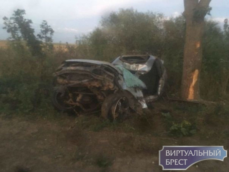Девушка-подросток погибла под Ляховичами. Села за руль и врезалась в дерево
