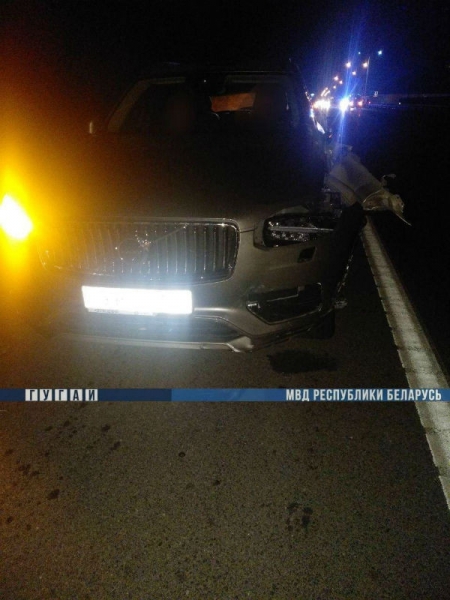 На трассе М4 Volvo XC90 насмерть сбил 12-летнего велосипедиста