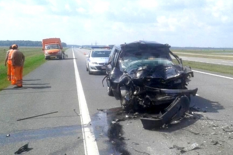 Водитель Citroen Evasion погибла на М1 при столкновении с грузовиком МАЗ
