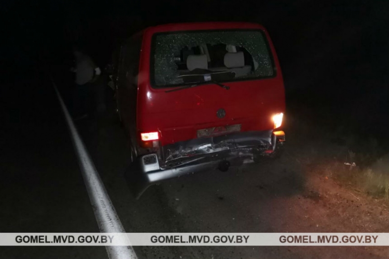 Пьяный бесправник на "Жигулях" врезался в Volkswagen Multivan, который сбил лося