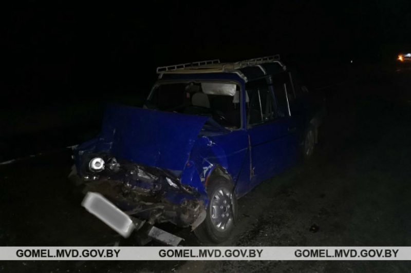 Пьяный бесправник на "Жигулях" врезался в Volkswagen Multivan, который сбил лося