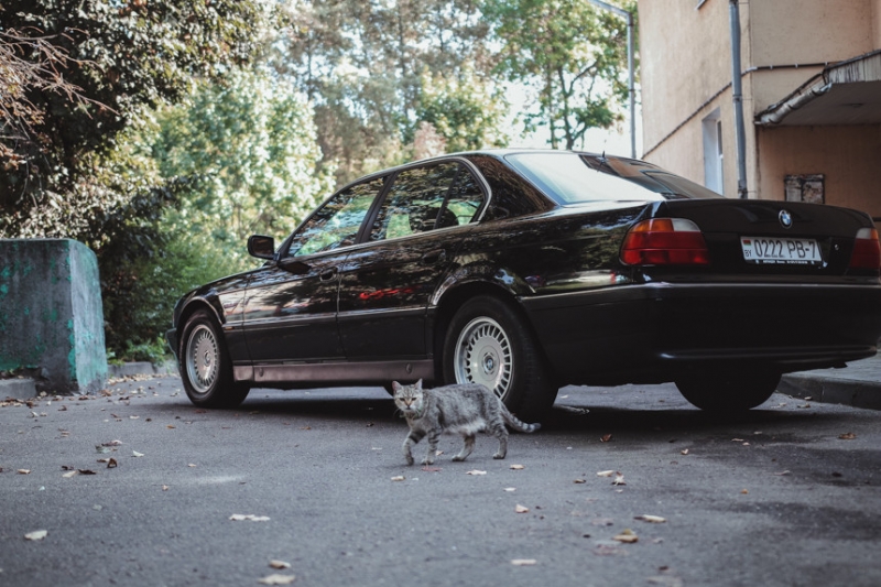 Тест-драйв "последнего настоящего", или BMW 7-series E38 из фильма "Бумер"