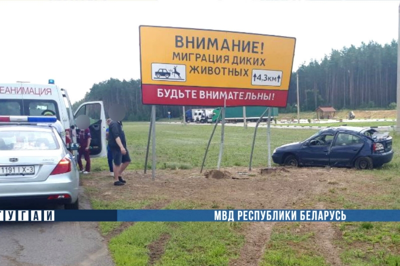 На М5 Renault влетел в знак, предупреждающий о животных, из-за появления одного из них на трассе