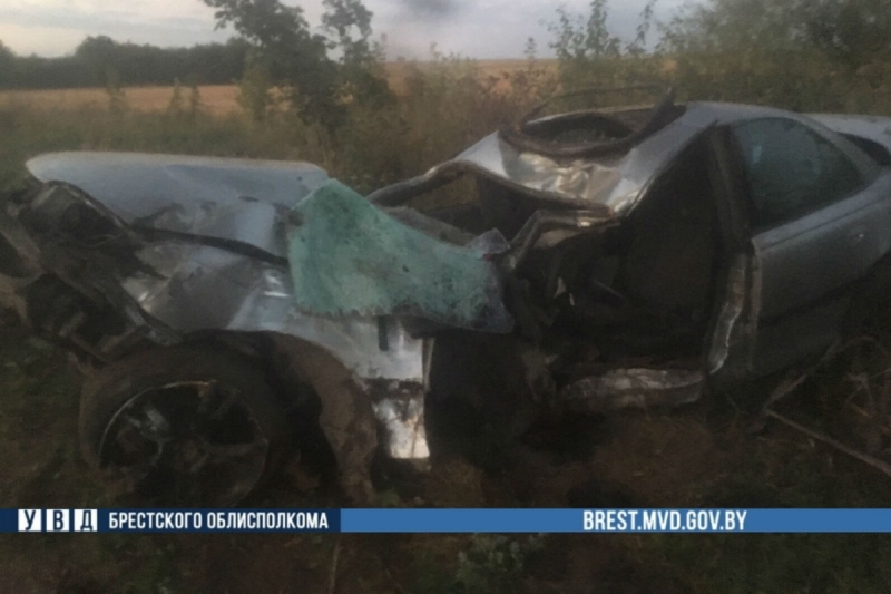 Девушка-подросток погибла под Ляховичами. Села за руль и врезалась в дерево