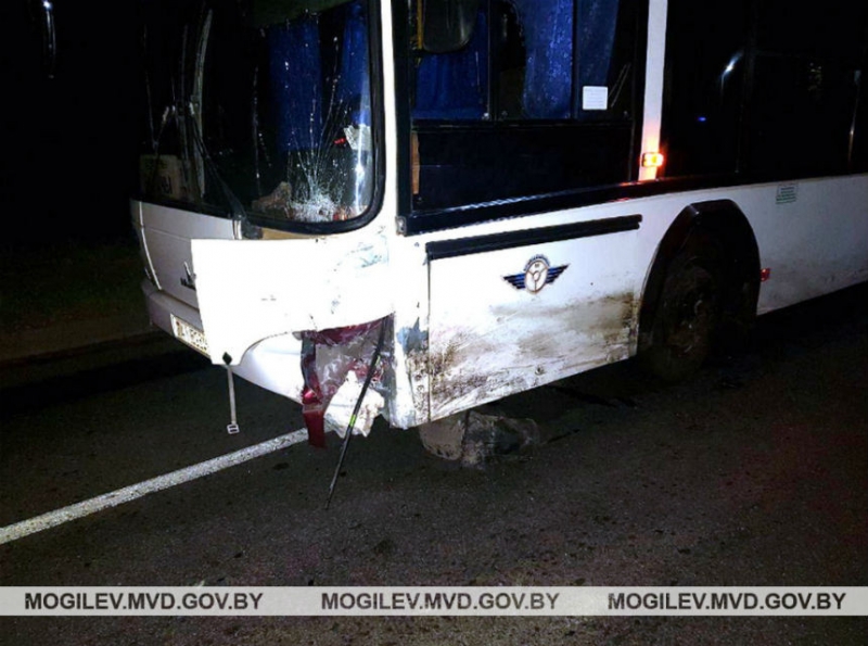 Ночью в Могилеве Honda попала под автобус МАЗ - погиб водитель