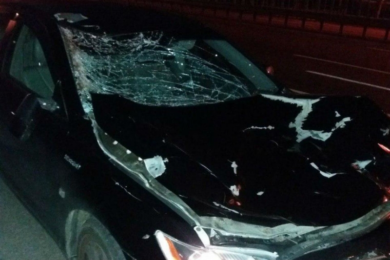 На МКАД водитель Toyota сбил лося
