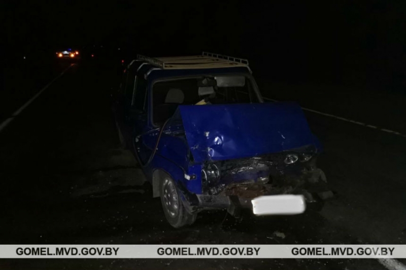 Пьяный бесправник на "Жигулях" врезался в Volkswagen Multivan, который сбил лося